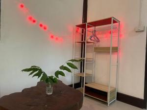 Paradise waterfall house