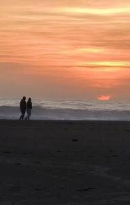 Cabaña Vista Playa Curiñanco