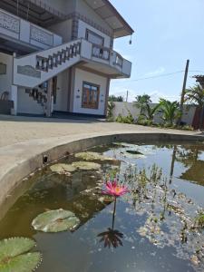 saratha seashore villa and tour