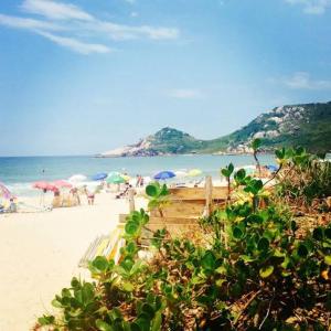 Caminho da Praia Floripa - Ilha da Magia