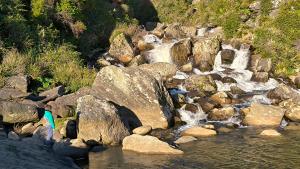 Cabaña Vista Playa Curiñanco