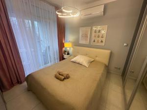 Flow Spot - Apartament z Widokiem na Szyndzielnię
