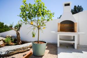 Villa Olea Mare ZadarVillas