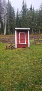 Peacfull cottage in middle of forest