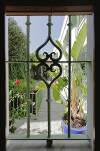 Apartamentos Gravina