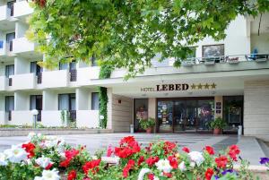 Lebed Hotel - All Inclusive