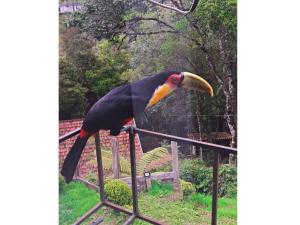 Helianthus Chalés Campos do Jordão