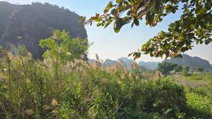 Tam Coc Holiday Retreat