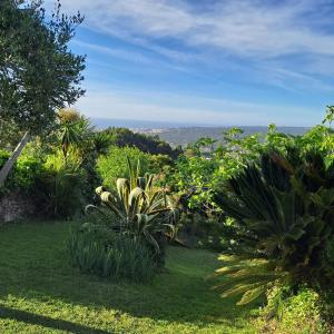 Refugio Floral de Colares - Sintra