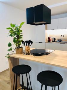 Les Genêts ensoleillés