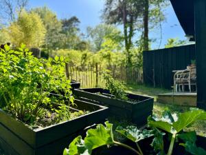 Elegant Holiday Home With Outdoor Kitchen