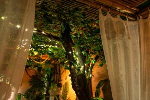 Escale Romantique a Bora Bora