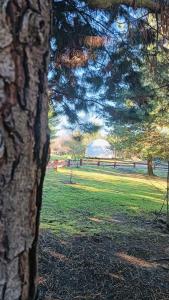 Refugio Silvestre Parque Nacional Siete Tazas-Salida a río y pesca