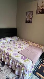 POOL CaSSa Ardina homestay