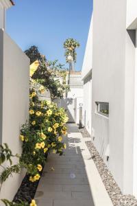 Villa with swimming pool in Pasito Blanco T4