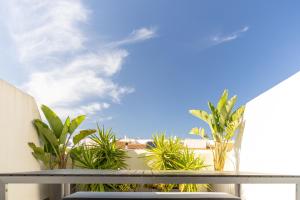 Tarifa Cozy House - Pool, Parking, Family