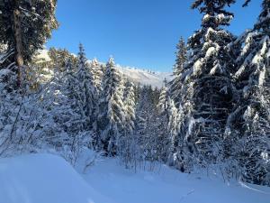 Crans-Montana Chalet dans la nature ski in ski out