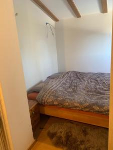 Crans-Montana Chalet dans la nature ski in ski out