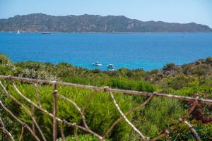 Villa Piperita - By Searly img34