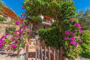 Villa Piperita - By Searly img61