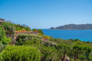 Villa Piperita - By Searly img66