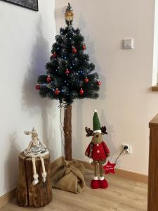 Apartament nad Radunią