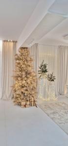 Penthouse View Aeroport Iasi 2