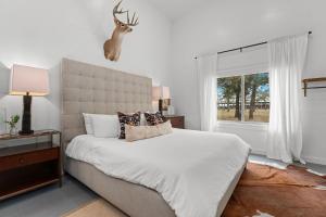 Cactus Coterie - Hot Tub & Fire Pit