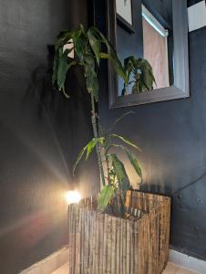 Loft Yokoso León District León Cultural Zone