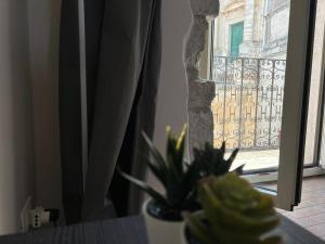 bedbreakfast DINASTIA