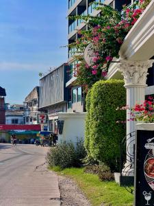 City Garden Olympus 02D with balcony