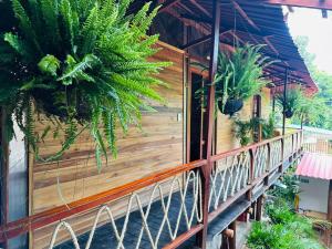 Arrecife Eco Cabañas Palomino