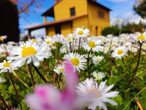 Agriturismo La fonte