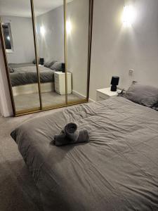 Comfort Apartments East Croydon