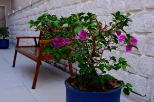 Barra Comfort Pousada