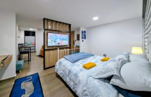 Lienzo Suite