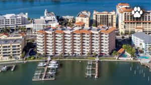 Clearwater Calm Condo