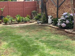 The Tranquil Golden Retreat