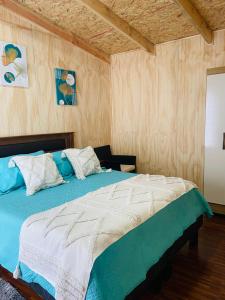 Cabañas con Tinajas Mahuidas Panguipulli