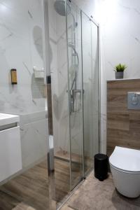 Modernes, klimatisiertes Apartment - Straßburg - Europapark - Rulantica