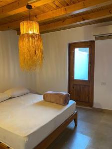 Ell garden boho house