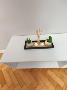 Apartament Aksamitny