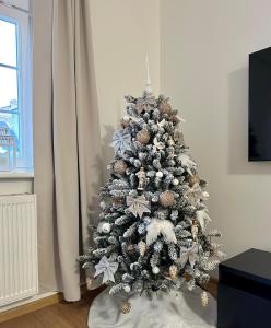 Apartmán 7 - Petřín