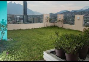 Semillero Zona de Ideas Vivas