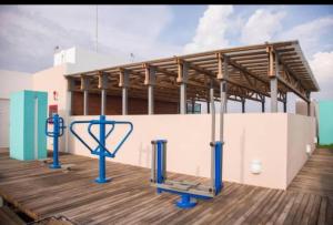 Semillero Zona de Ideas Vivas