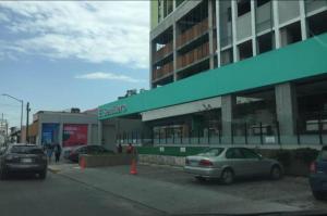 Semillero Zona de Ideas Vivas