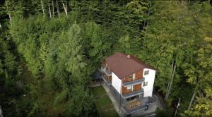 Forest Villa - Entire Floor with Balcony & Mountain View