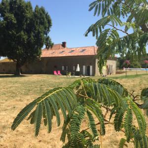 Maisons d'hotes Maison du Guit : photos des chambres