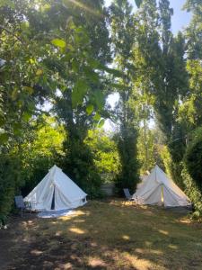 Glamping, Piscina, Jacuzzi y Estero - Más Líderes Experiencias