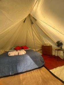 Glamping, Piscina, Jacuzzi y Estero - Más Líderes Experiencias